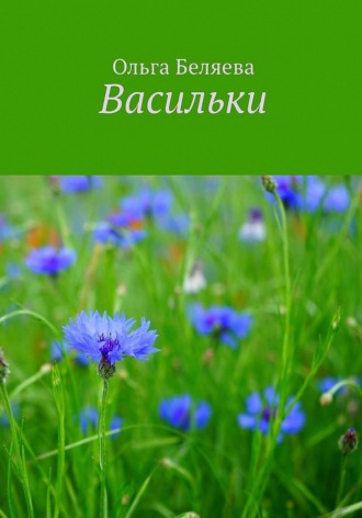 Васильки. 