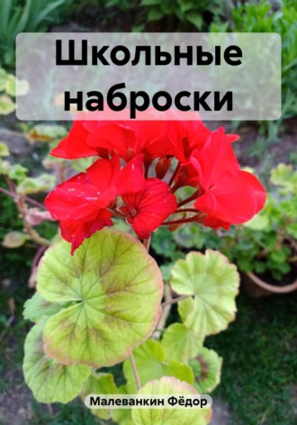Фёдор Иванович Малеванкин. Школьные наброски