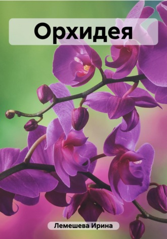 Ирина Лемешева. Орхидея