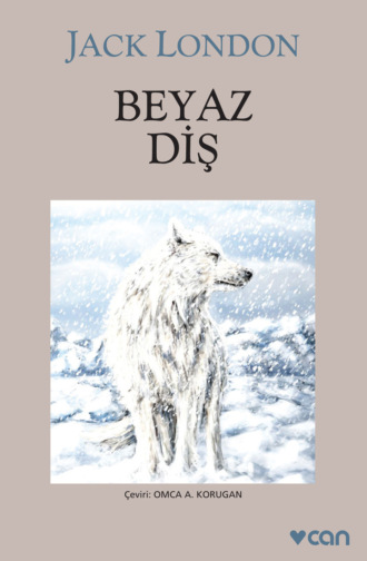 Beyaz Diş. 