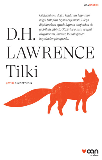 Lawrence D. H.. Tilki