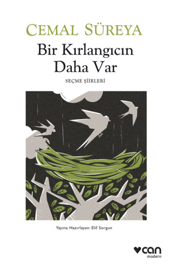 Bir Kırlangıcın Daha Var. 