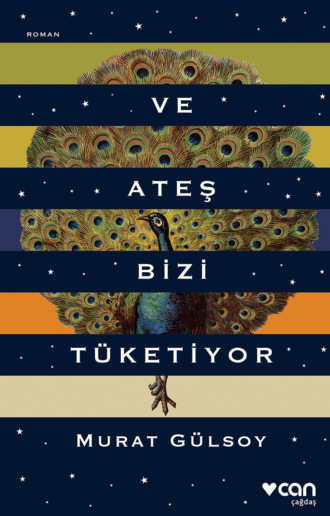 Gülsoy Murat. Ve Ateş Bizi Tüketiyor