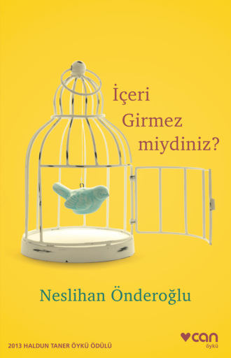 Neslihan Önderoğlu. İçeri Girmez miydiniz?