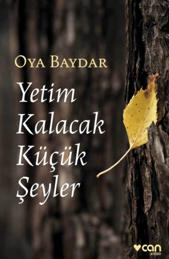 Yetim Kalacak Küçük Şeyler. 