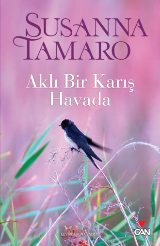 Aklı Bir Karış Havada. 