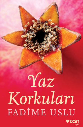 Uslu Fadime. Yaz Korkuları