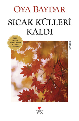 Sıcak Külleri Kaldı. 