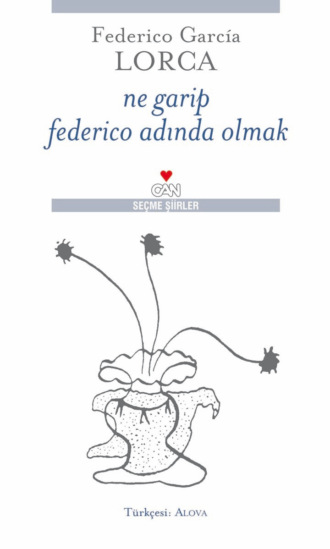 Lorca Federico Garcia. Ne Garip Federico Adında Olmak