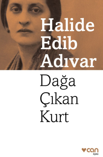 Dağa Çıkan Kurt. 