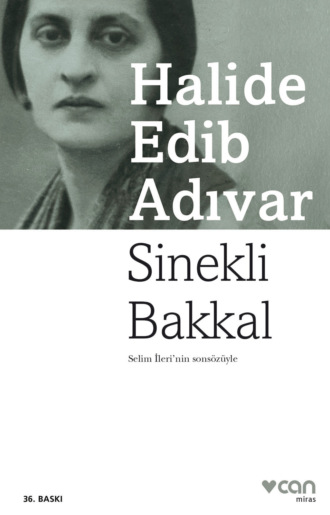 Halide Edib Adıvar. Sinekli Bakkal