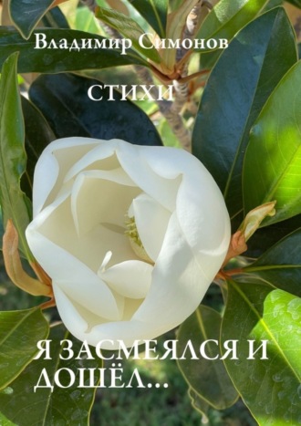 Я засмеялся и дошёл… Стихи. 