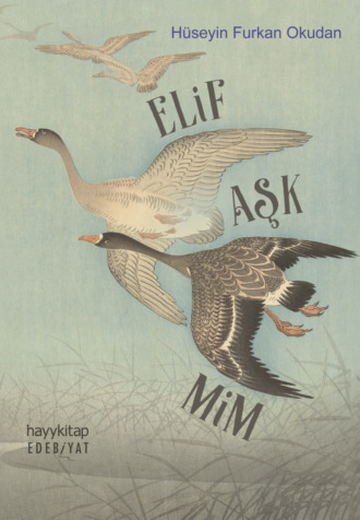 Hüseyin Furkan Okudan. Elif Aşk Mim