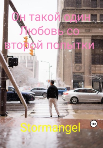 Он такой один. Любовь со второй попытки. Stormangel