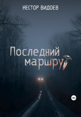 Нестор Видоев. Последний маршрут