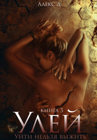 Улей. Книга 3. 