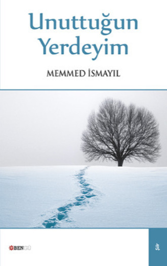 Unuttuğun Yerdeyim. Memmed İsmayıl