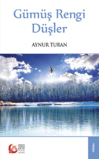 Gümüş Rengi Düşler. Aynur Turan