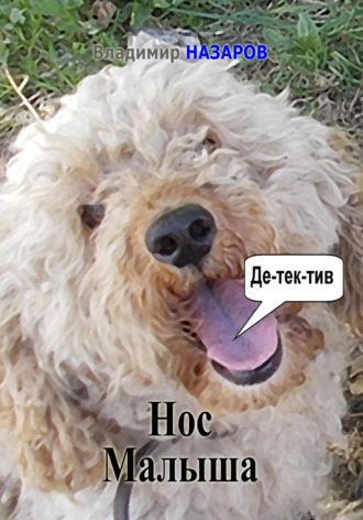 Владимир Владимирович Назаров. Нос Малыша