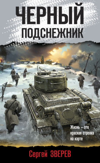 Черный подснежник. Сергей Зверев