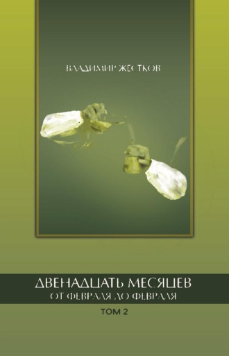 Двенадцать месяцев. От февраля до февраля. Том 2. Владимир Жестков