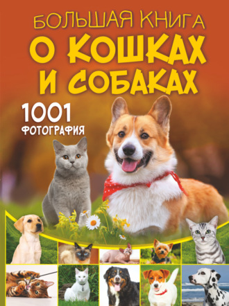 Д. С. Смирнов. Большая книга о кошках и собаках. 1001 фотография