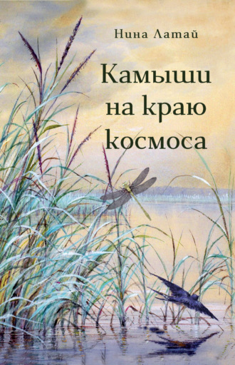 Нина Латай. Камыши на краю космоса