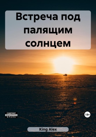 Встреча под палящим солнцем. Alex King