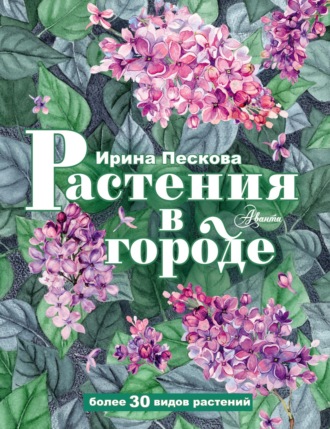 Ирина Пескова. Растения в городе