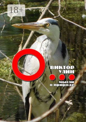 О… Мысли о природе. Виктор Улин
