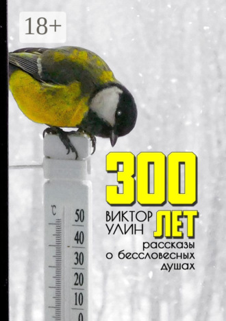 300 лет. Рассказы о бессловесных душах. Виктор Улин