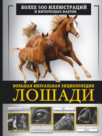 Лошади. Большая визуальная энциклопедия. 