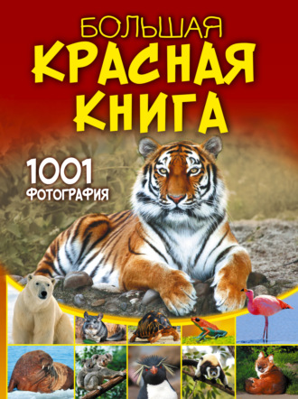 Большая красная книга. 1001 фотография. 