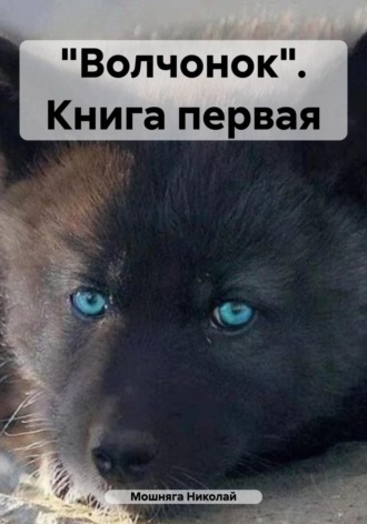 Николай Мошняга. «Волчонок». Книга первая