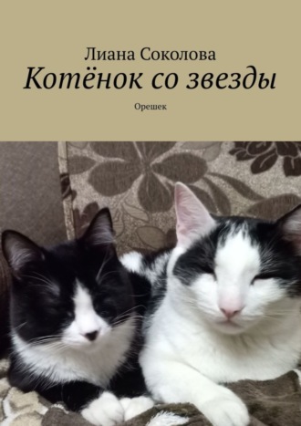 Лиана Соколова. Котёнок со звезды. Орешек