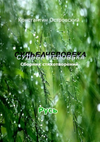 Константин Юрьевич Островский. Судьба человека
