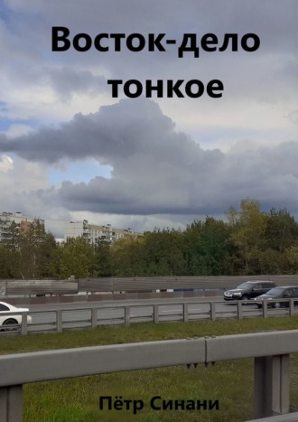 Восток – дело тонкое. Петр Никитич Синани