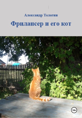Александр Александрович Телегин. Фрилансер и его кот