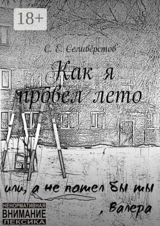 С. Е. Селивёрстов. Как я провел лето