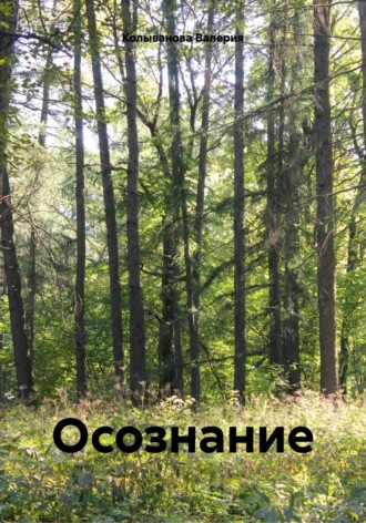 Валерия Колыванова. Осознание