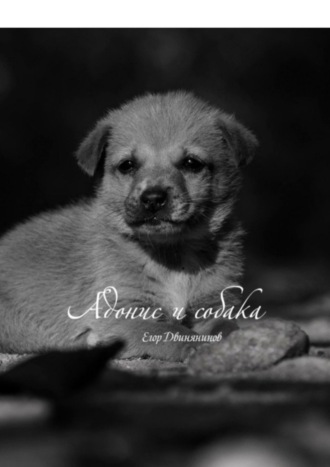 Егор Двинянинов. Адонис и собака
