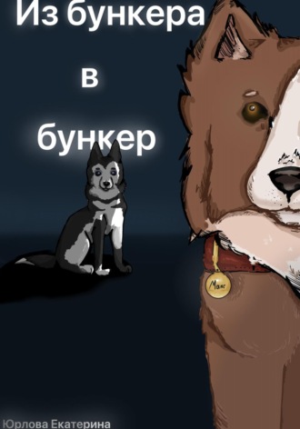 Екатерина Юрлова. Из бункера в бункер