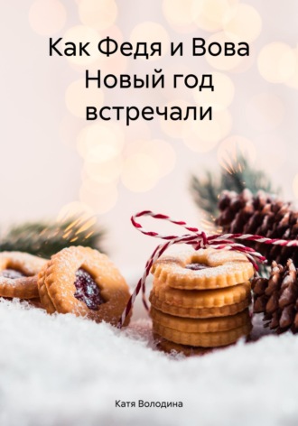 Катя Володина. Как Федя и Вова Новый год встречали