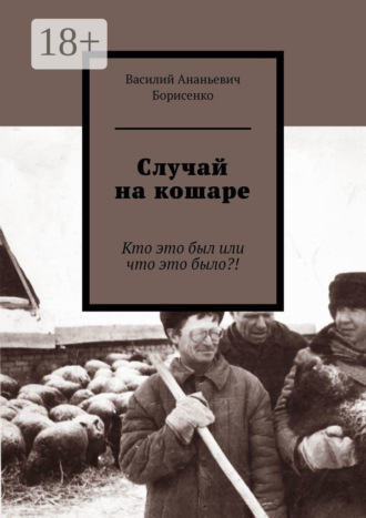 Случай на кошаре. Кто это был или что это было?!. Василий Ананьевич Борисенко