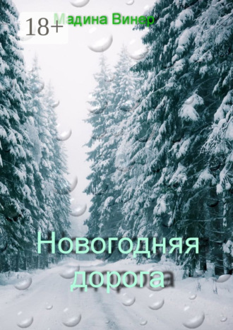 Мадина Винер. Новогодняя дорога