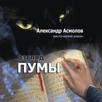 Взгляд пумы. 