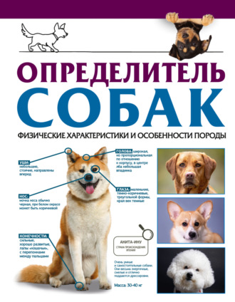 Л. Д. Вайткене. Определитель собак. Физические характеристики и особенности породы