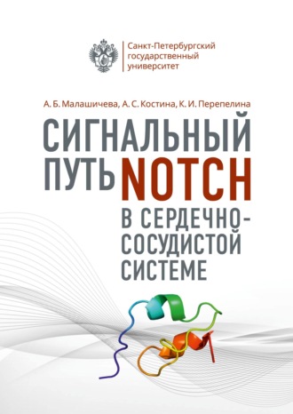 Анна Малашичева. Сигнальный путь Notch в сердечно-сосудистой системе