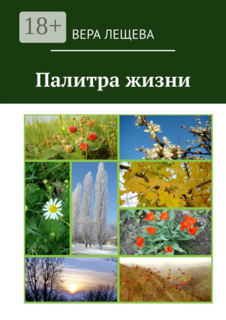 Вера Николаевна Лещева. Палитра жизни