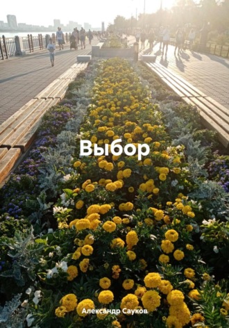 Александр Викторович Сауков. Выбор